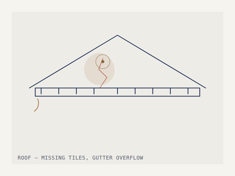 Illustration of a roofline with a crack and overflowing guttering